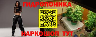 мескалин Кингисепп