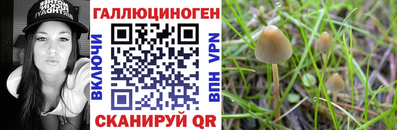 Псилоцибиновые грибы Magic Shrooms  цена   Камышлов 