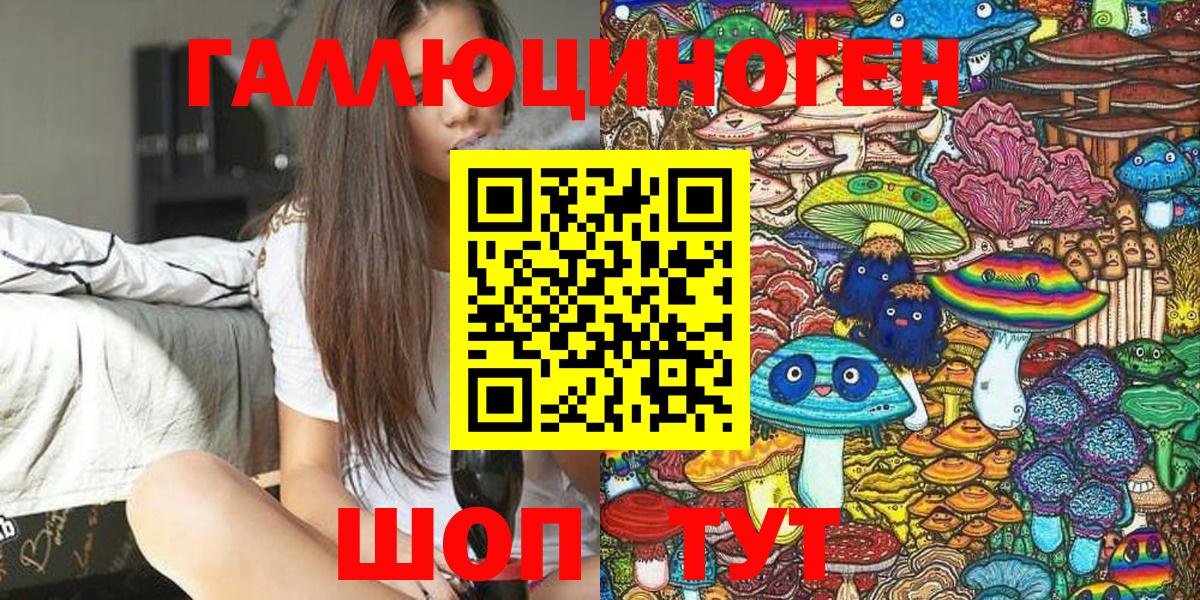 Камышлов  Псилоцибиновые грибы мицелий  купить наркотик  Псилоцибиновые грибы Cubensis  Вход с VPN 