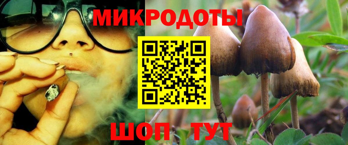 Псилоцибиновые грибы Magic Shrooms Камышлов
